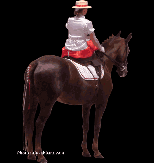 Femme en position d'amazone sur son cheval