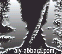 Site personnel du Dr Aly ABBARA