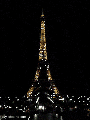 Paris : Tour Eiffel scintillant (vue panoramique)