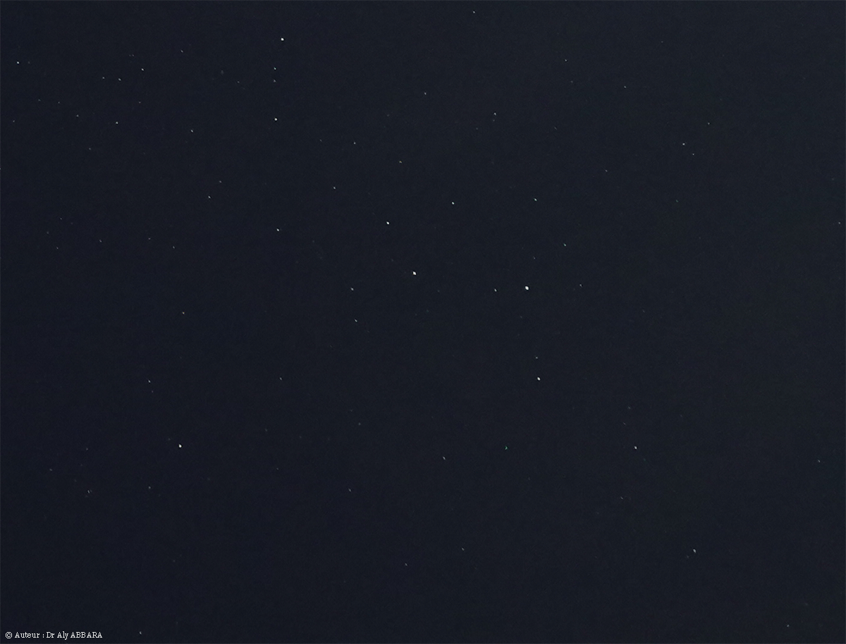 Astronomie - Constellation du Lièvre - Lepus - (Leporis -  Lep) - The Hare