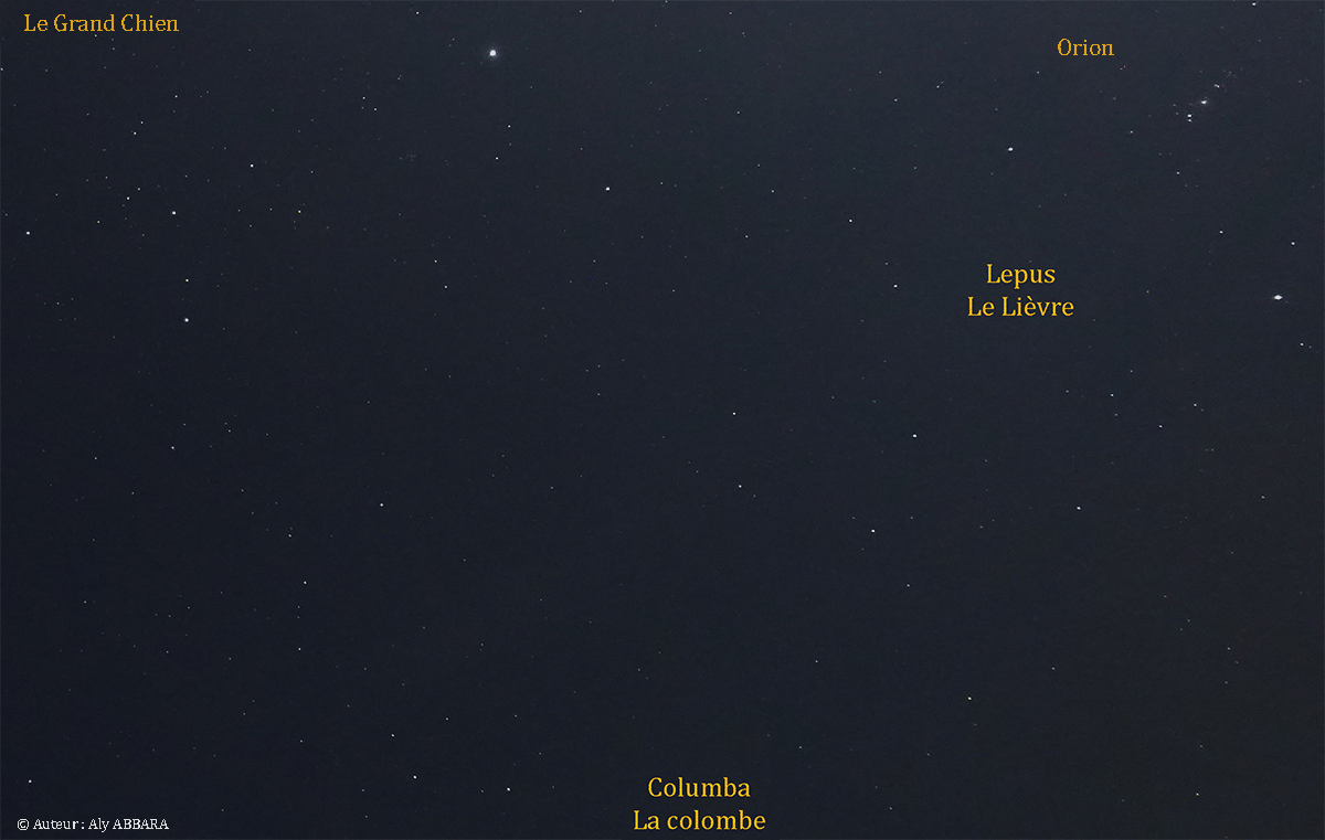 Constellation du Lièvre (Lepus)