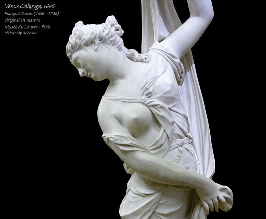 Vnus (Aphrodite) Callipyge (ayant de belles fesses) - Muse du Louvre - Paris - France