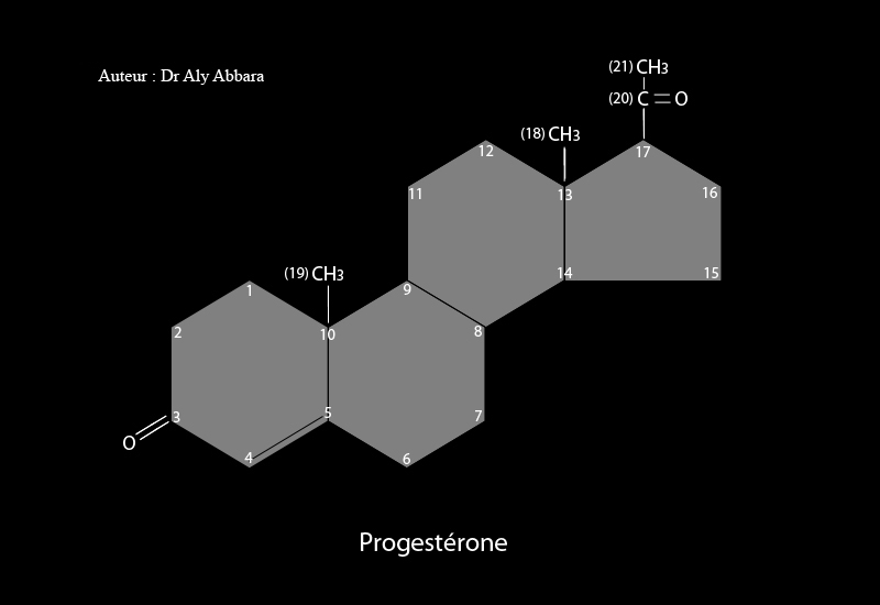 Progestérone - Dérivé du noyau prégnane (21 atomes de carbone)