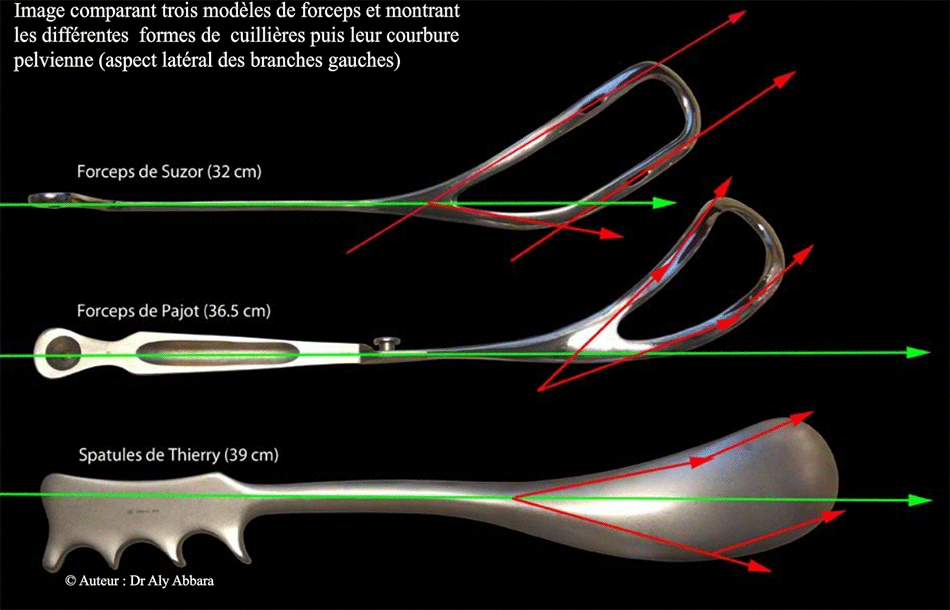 Image comparant les courbures de trois forceps - Suzor, Pajot et spatules de Thierry