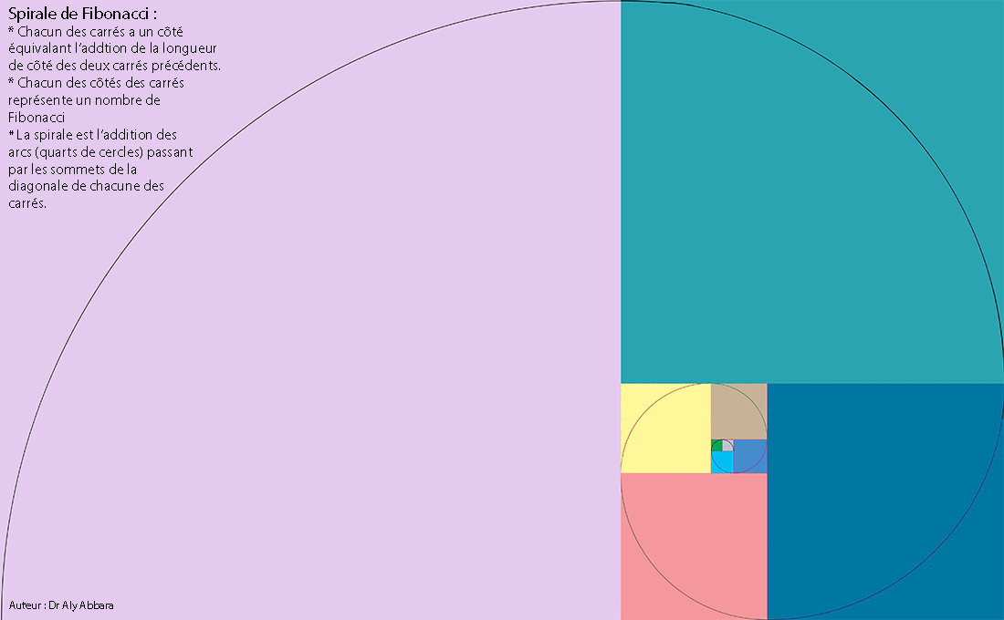Spirale-Fibonnaci
