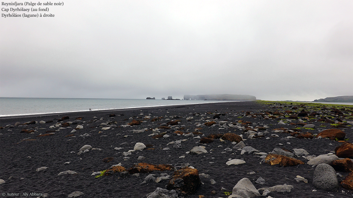 Islande (Iceland) - Reynisfjara (la Plage de sable noir) et Cap Dyrhólaey de l'extrême sud de l'Islande - Lagune «Dyrhólaos» et l'Océan Atlantique Nord