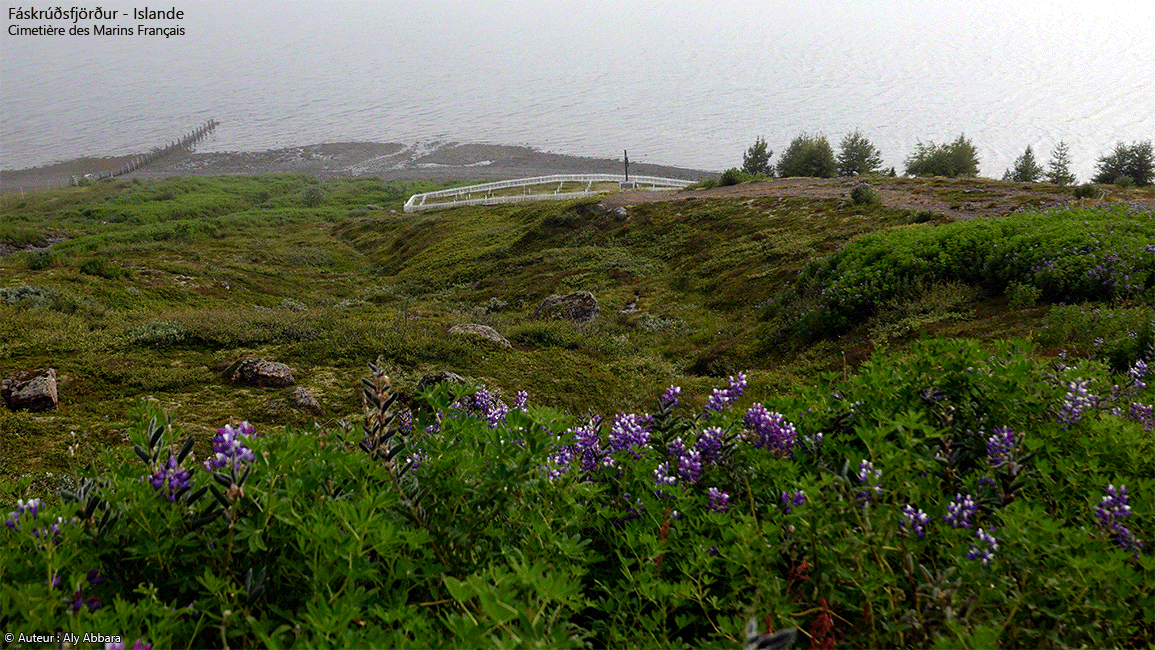 Islande (Iceland) orientale - Village et fjord de Fáskrúðsfjörður - Cimetière de Krossar (cimetière français) avec ses 49 tombes de marins pêcheurs français et belges