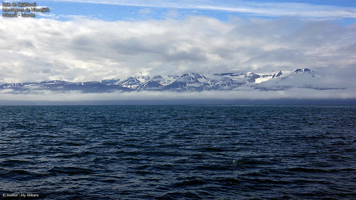 Islande (Iceland) Nord - Baie de Skjálfandi - Péninsule de Flateyjarskagi