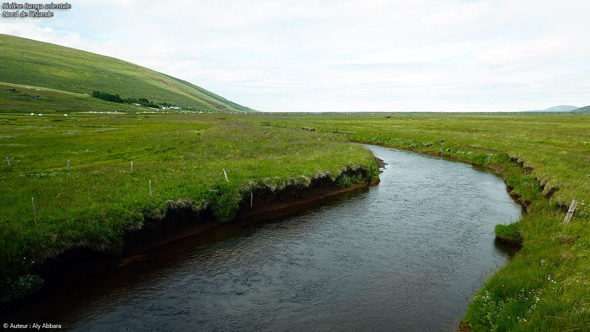 Islande (Iceland) Nord - La rivière Rangá à proximité de son embouchure dans le fleuve Skjálfandafljót