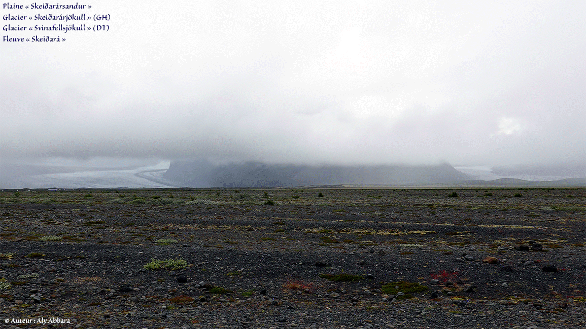 Islande (Iceland) - Islande (Iceland) -  Plaine Skeiðarársandur - Glacier Skeiðarársjökull - Glacier Svinafellsjökull - Fleuve Skeiðará - Dans le parc national de Skaftafell