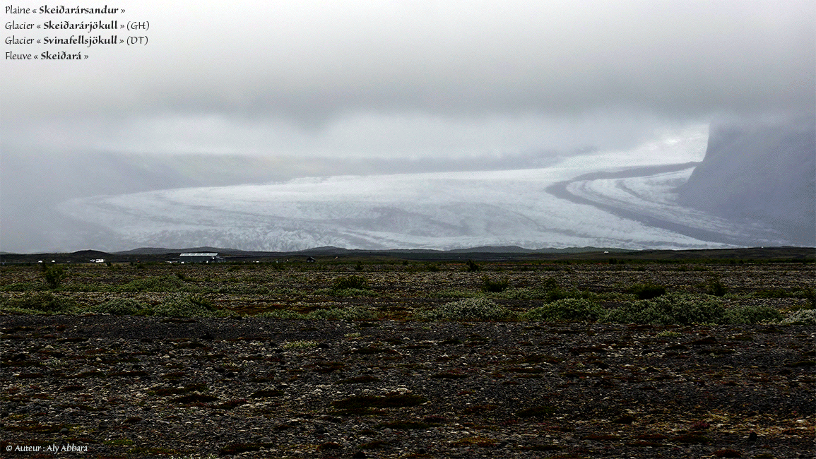 Islande (Iceland) - Islande (Iceland) -  Plaine Skeiðarársandur - Glacier Skeiðarársjökull - Glacier Svinafellsjökull - Dans le parc national de Skaftafell