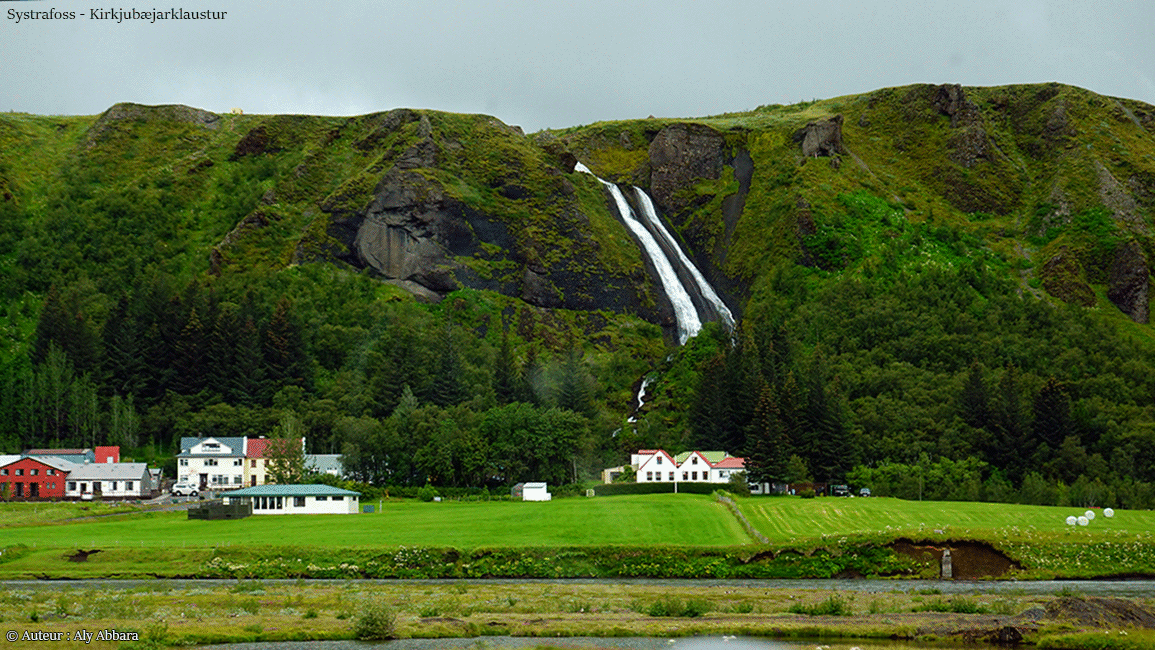 Islande (Iceland) - Eldhraun - champs de mousses et de laves en coussins