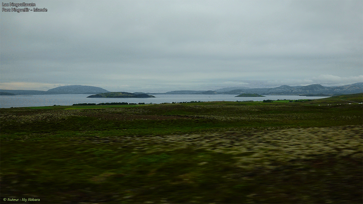Islande (Iceland) -  Lac þingvallavatn ou Thingvallavatn - Parc national þingvellir - Thingvellir