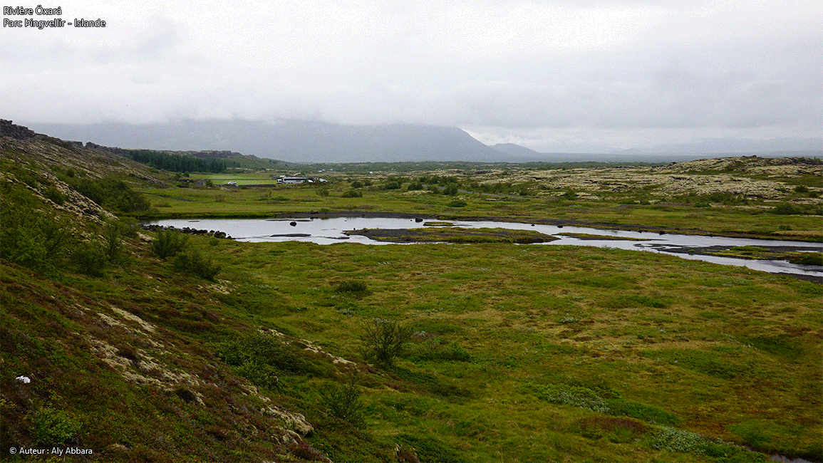 Islande (Iceland) - La rivière Öxará - Parc national þingvellir - Thingvellir