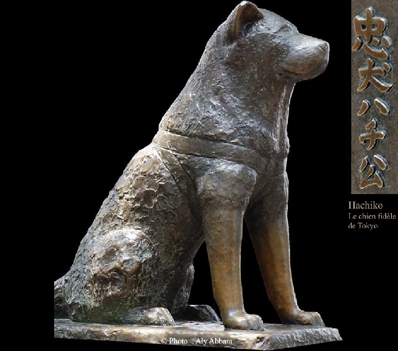 Hachikõ, le chien fidèle de Tôkyô - Sculpteur : " Takeshi Ando " - 1948