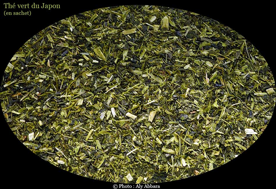 Thé vert en poudre (matcha) consommé lors de la cérémonie du thé au Japon